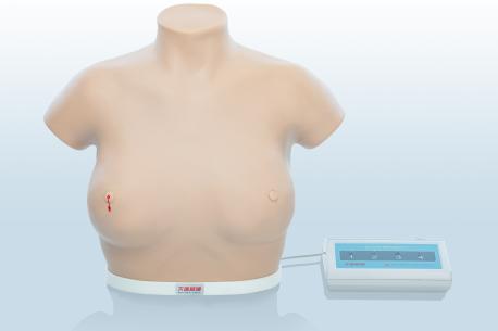 電子乳腺癌觸診、視診訓(xùn)練模型