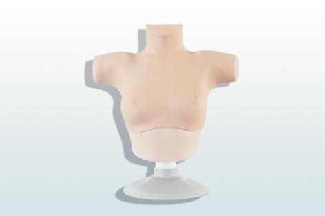 乳腺癌觸診、視診訓(xùn)練模型